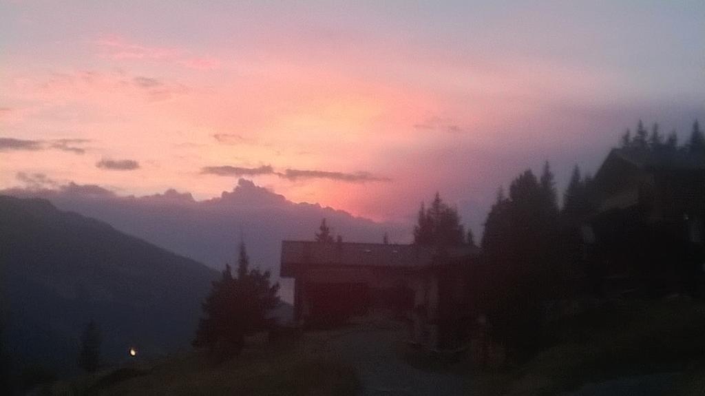 Confinale 2*